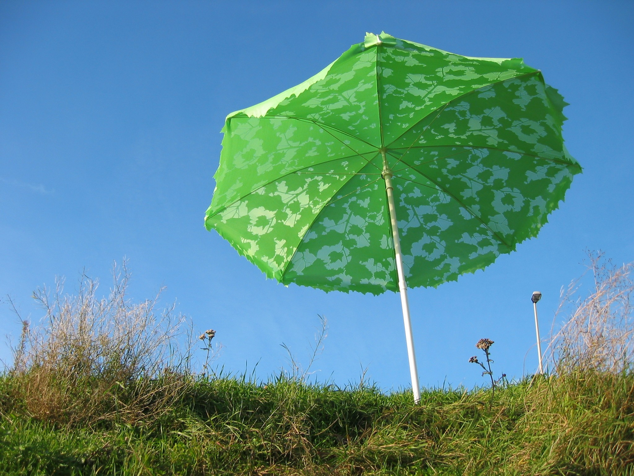 afdeling Bijwonen Zeebrasem Shadylace parasol by Chris Kabel – droog