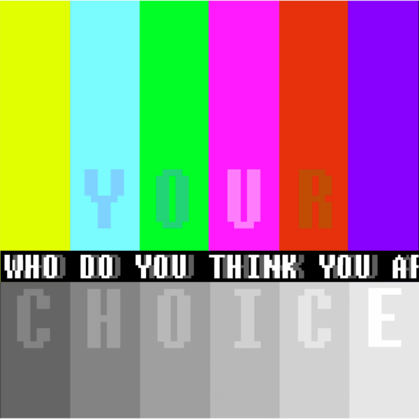 Your Choice – Who do you think you are? by NEXT Architects i.c.w. Guus Beumer & Christine van 't Hoenderdaal