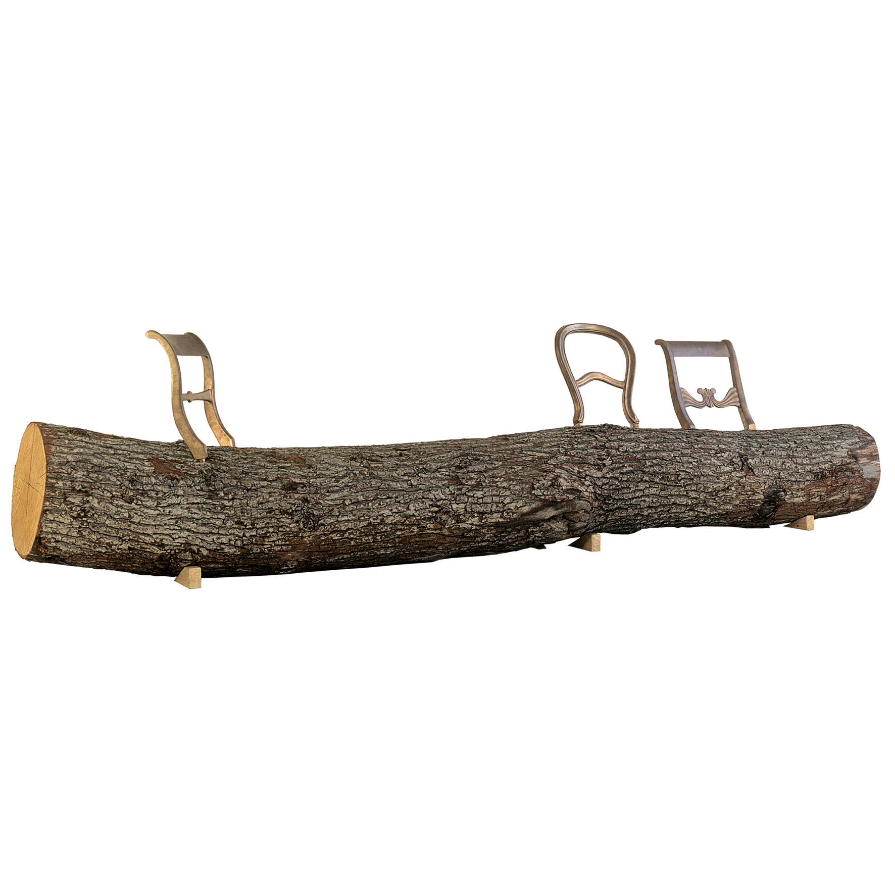 Tree Trunk Bench Droog