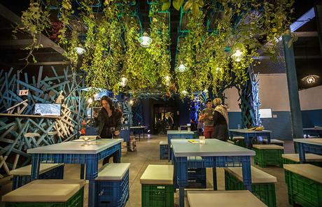 1img_1654_copy_460_wide