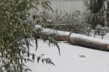 Tree trunk bench in the courtyard of Droog Amsterdam