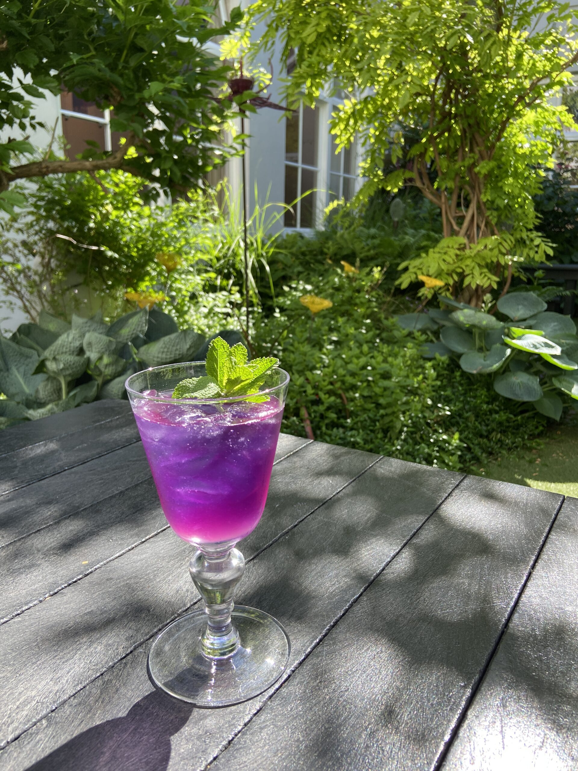 Grab a fresh drink in the Fairytale Garden @droog